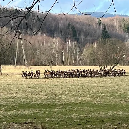 Resztowka Venkovský dům