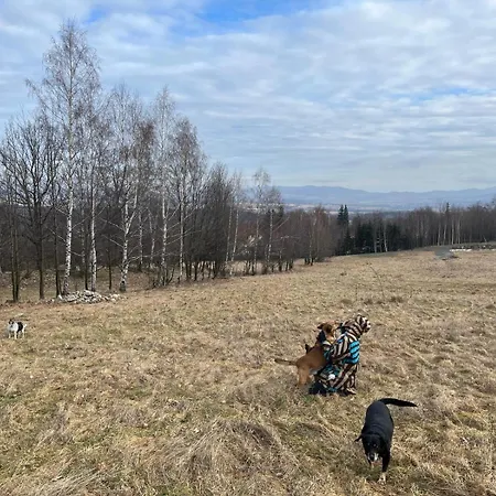 Venkovský dům Resztowka *