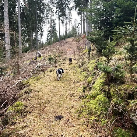 Country house Resztowka *