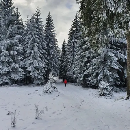 Resztowka Country house Polanica-Zdroj