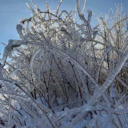 Country house Resztowka *