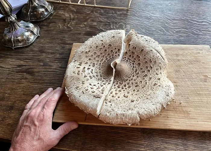 Landhaus Resztowka Bad Altheide