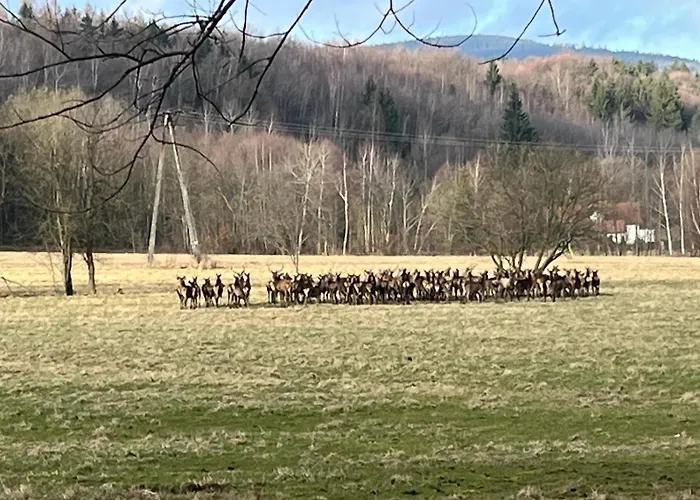 Resztówka Gospodarstwo wiejskie