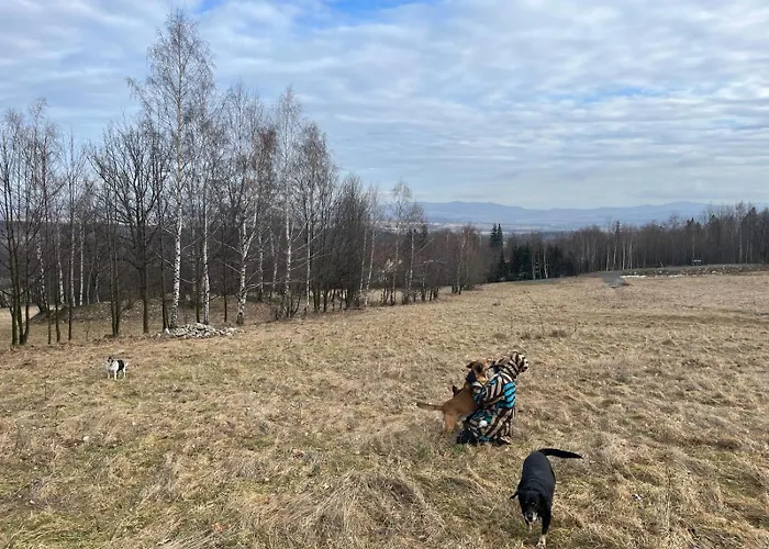 Gospodarstwo wiejskie Resztówka *
