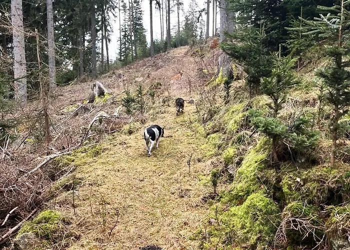 Gospodarstwo wiejskie Resztówka *