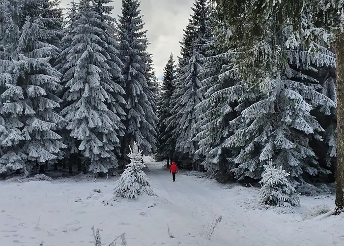 Resztówka Gospodarstwo wiejskie Polanica-Zdrój