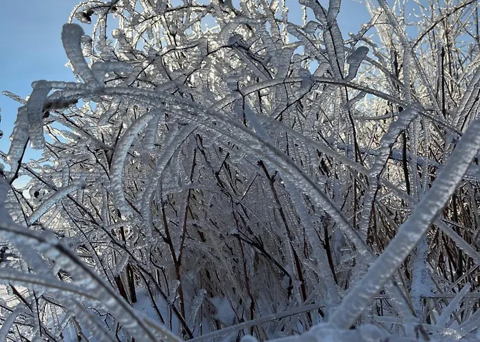 Gospodarstwo wiejskie Resztówka *